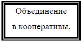 i_016.jpg